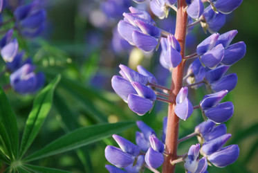 Similar image 21943138