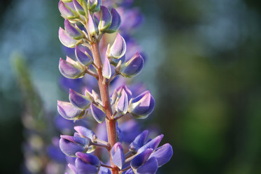 Similar image 21943140