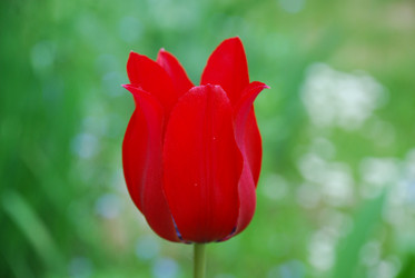 Similar image 21943141