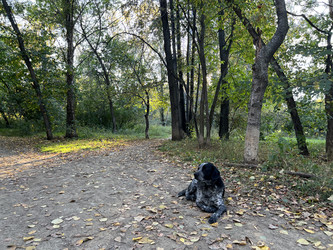 Similar image 21939993