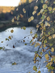 Similar image 21939998