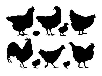 Similar image 21942432