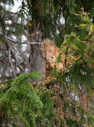 Similar image 21940012