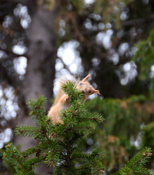 Similar image 21940014