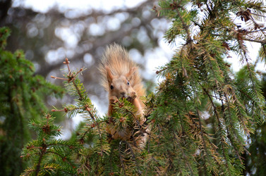 Similar image 21940015