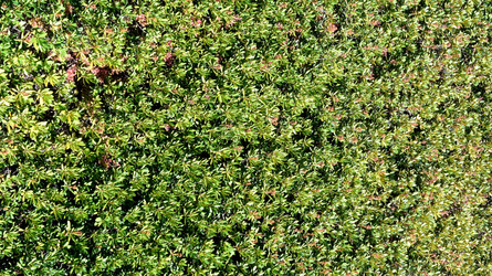 Similar image 21940019