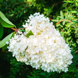 Similar image 21949205