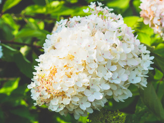 Similar image 21949212