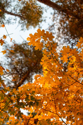 Similar image 21946559