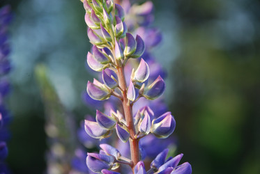 Similar image 21942981