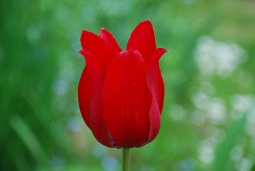 Similar image 21942982