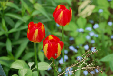 Similar image 21942984