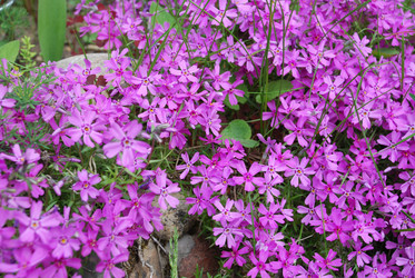 Similar image 21942986