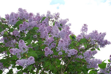 Similar image 21942988