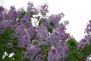 Similar image 21942990