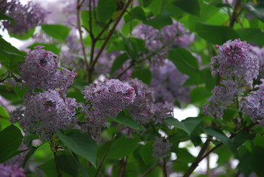 Similar image 21942992