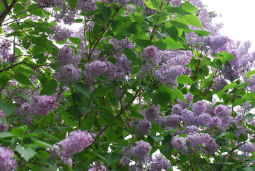 Similar image 21942994