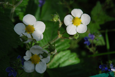 Similar image 21942995