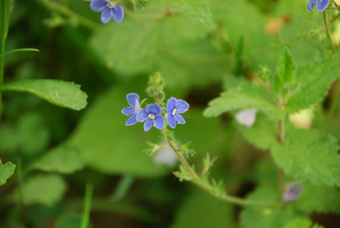 Similar image 21942997