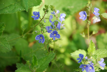 Similar image 21943142