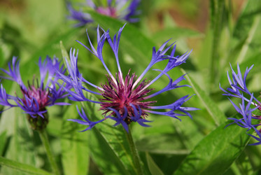 Similar image 21943143