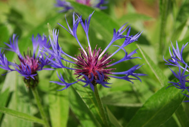 Similar image 21943144