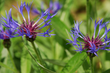 Similar image 21943145