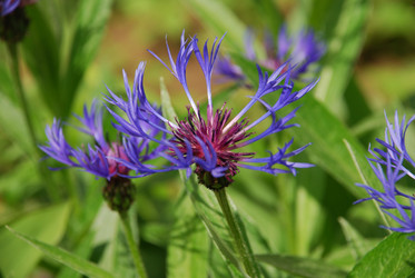 Similar image 21943146