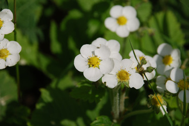 Similar image 21943147