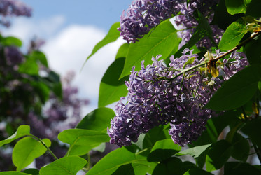 Similar image 21943149