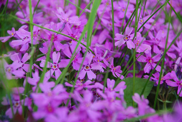 Similar image 21943150