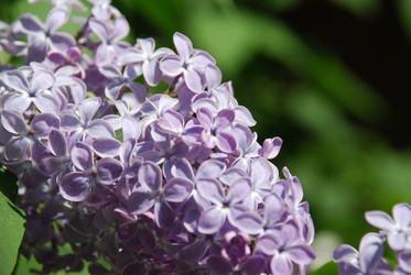 Similar image 21943151