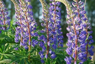 Similar image 21943154