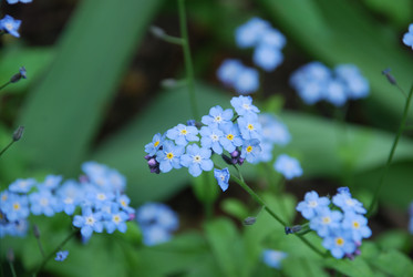 Similar image 21943155