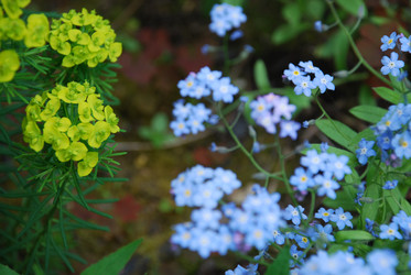 Similar image 21943156