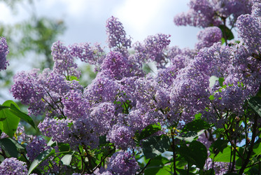 Similar image 21943157