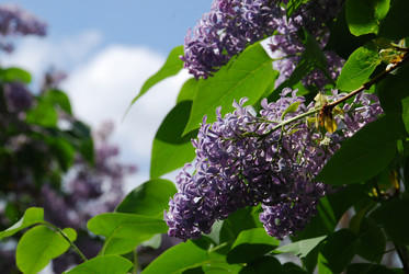 Similar image 21943159