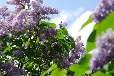 Similar image 21943160