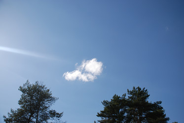 Similar image 21943161