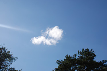 Similar image 21943162