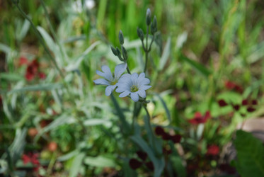 Similar image 21943168