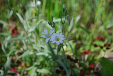 Similar image 21943169