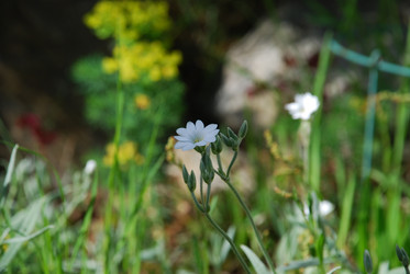 Similar image 21943170