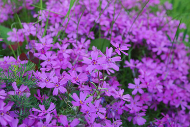 Similar image 21943173