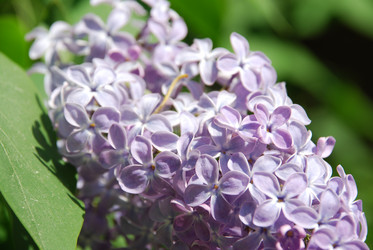 Similar image 21943174