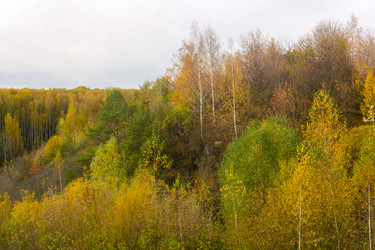 Similar image 21942895