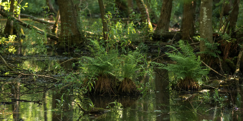 Similar image 21942897