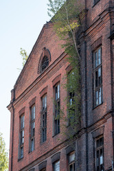 Similar image 21942902