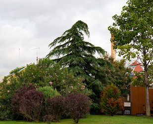 Similar image 21945537