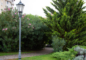 Similar image 21945539